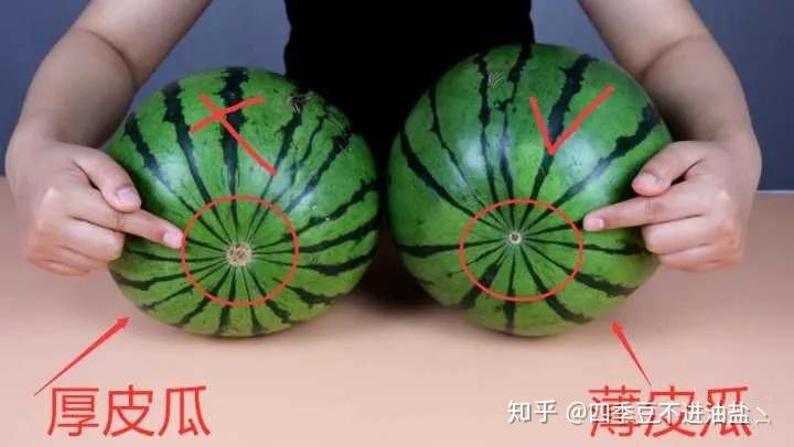 什么水果最好摆地摊 v2-530a26ffdefe89747253969e7a9bd78e_r.jpg