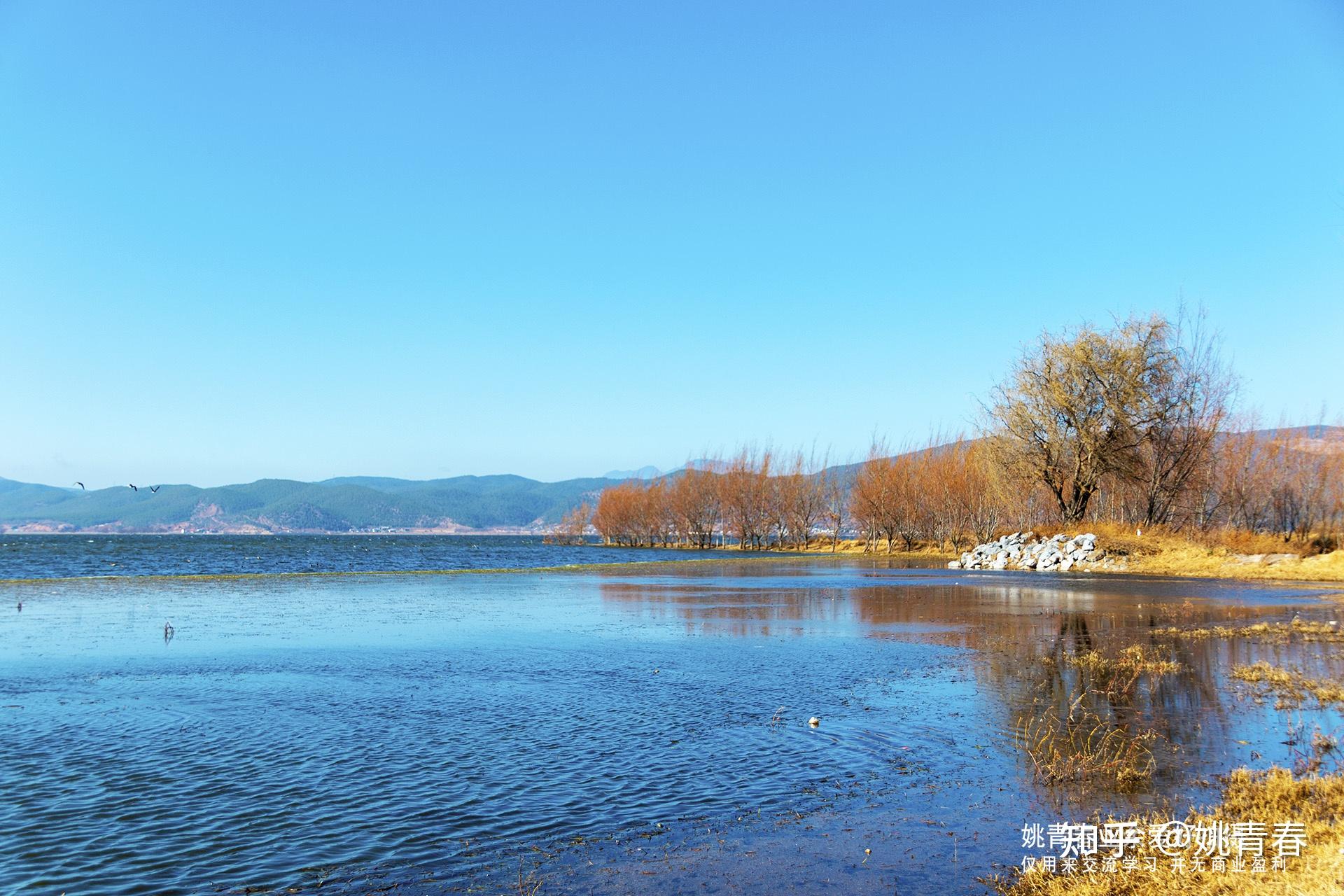 姚青春2021年從上海回雲南老家路上拍攝的自然風光山水風景照片3