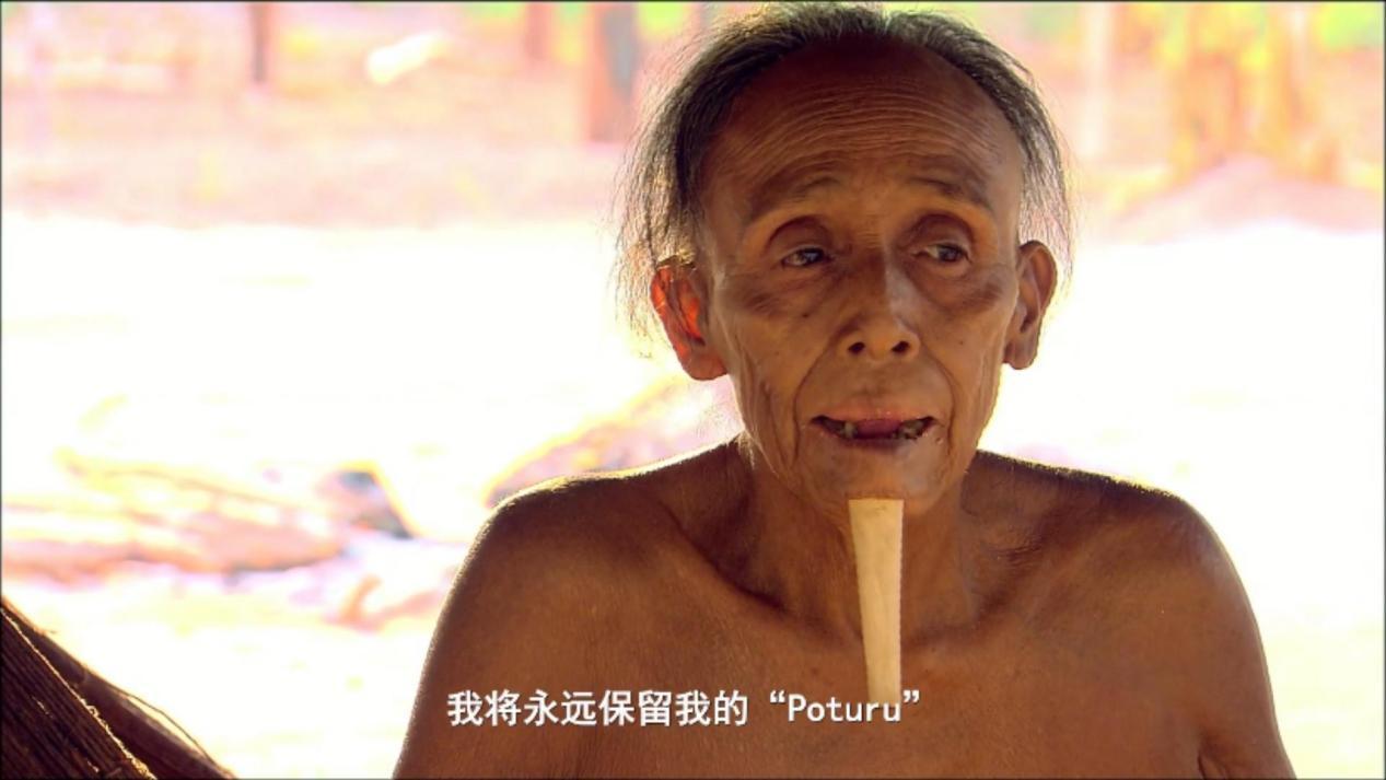 亚马逊的眼泪 - 知乎