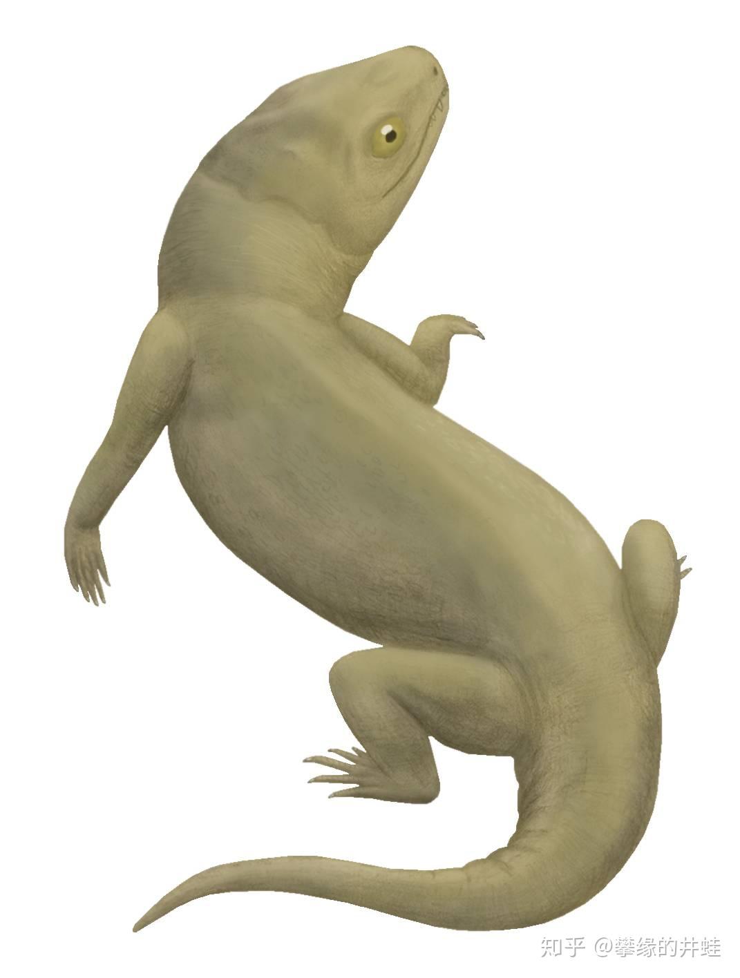 【地球演义】偏师劲旅（上） - 知乎