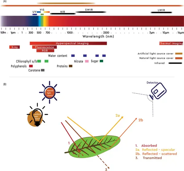 高光谱成像在植物表型中的应用 - 知乎