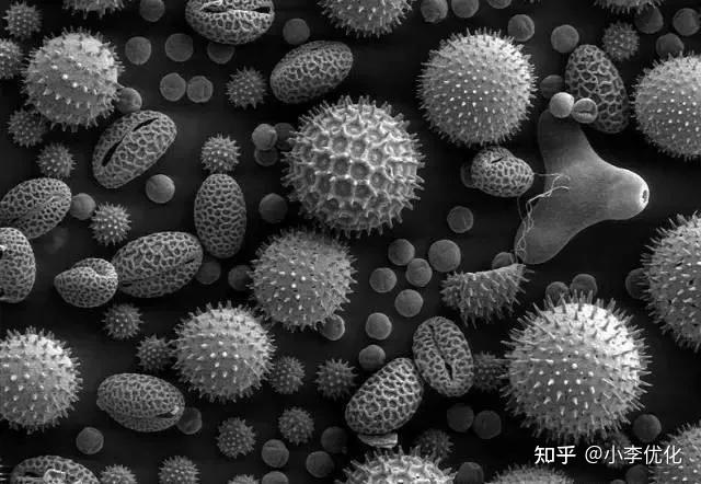 seo与sem有什么相同点sem表征