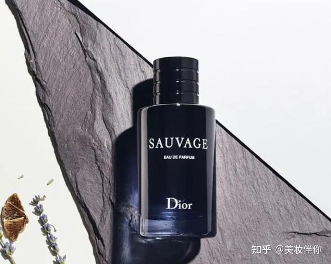 迪奥旷野:dior sauvage,2015年