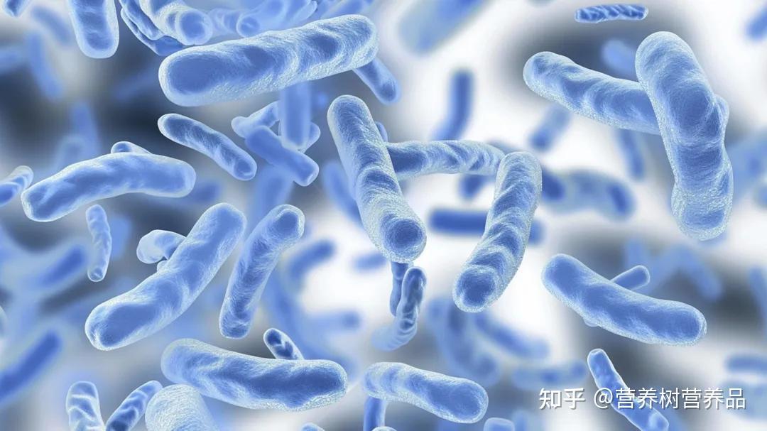 益生菌、益生元、后生元分不清?技术加持的“活菌”才是真有效! - 知乎