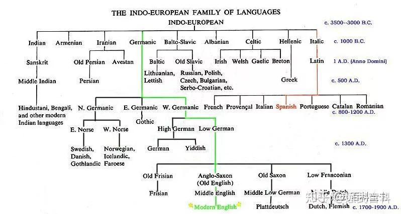 印欧语系图谱图片