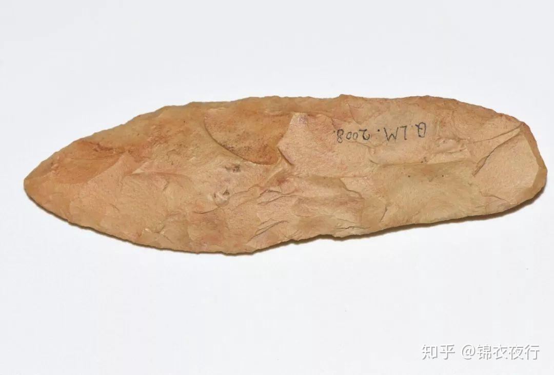 原始人干翻猛犸象全靠它,上古石头长矛咋发明的? - 知乎