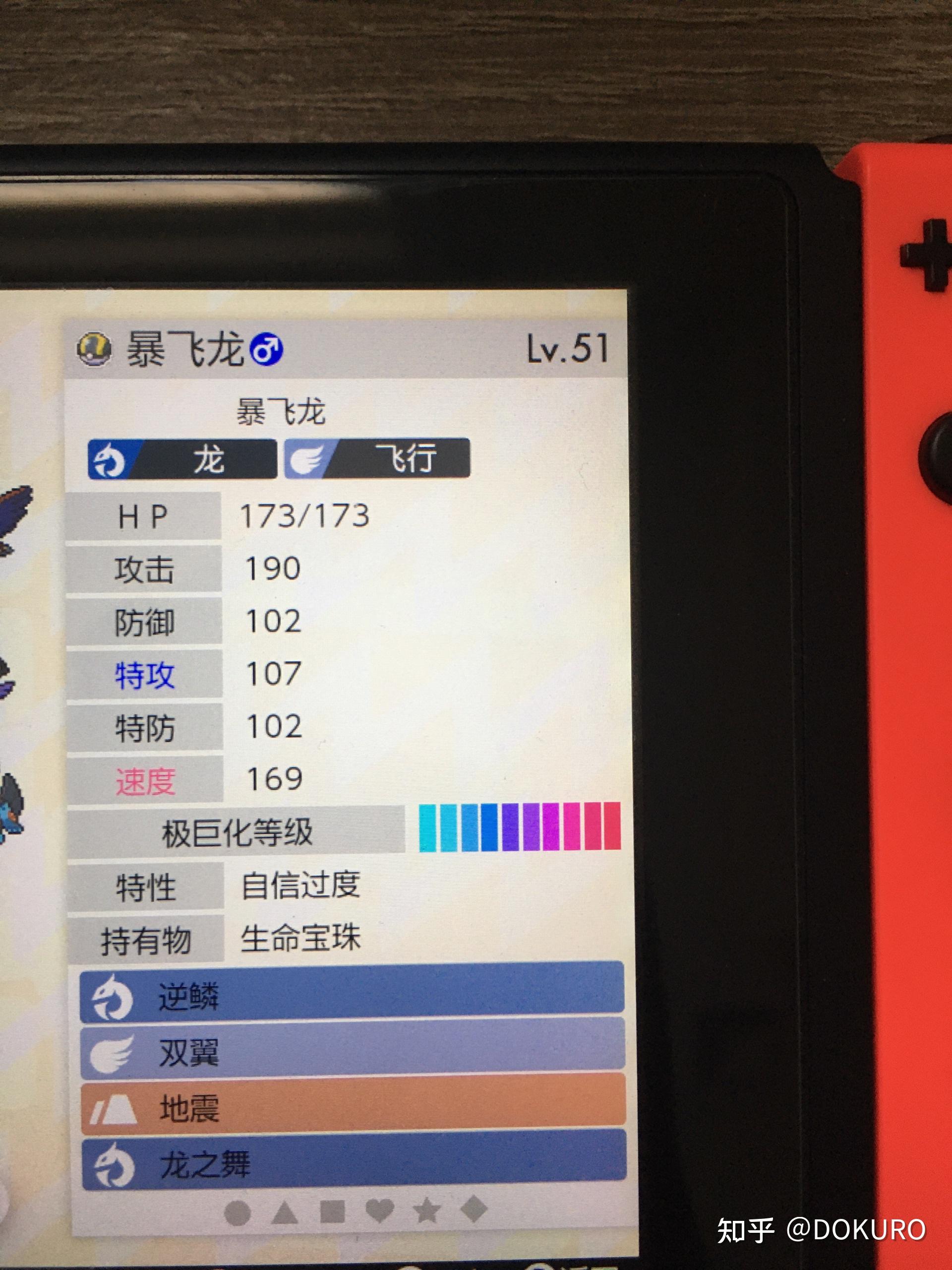 就决定是你了暴飞龙