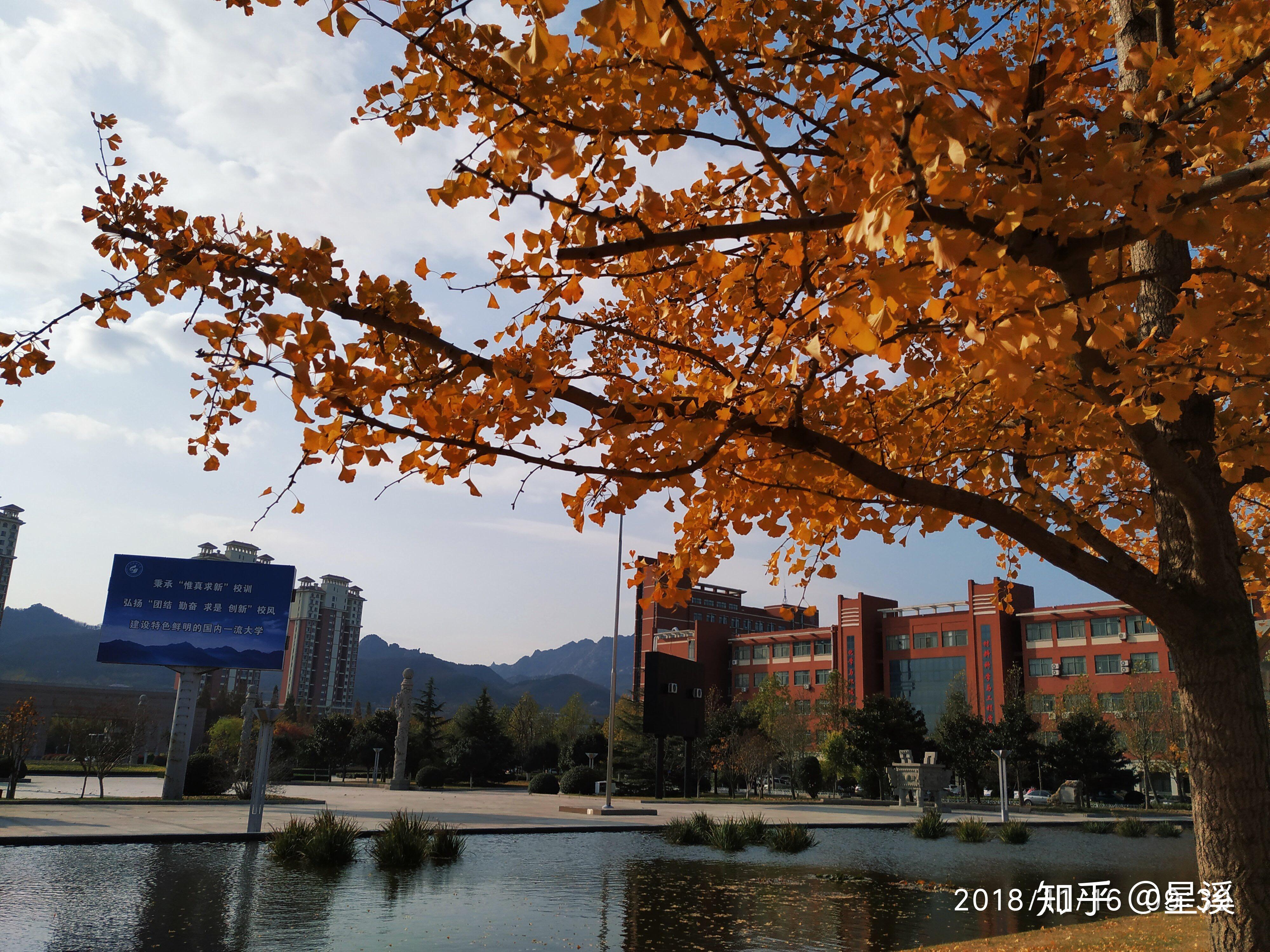 山东科技大学的景色到底有多美