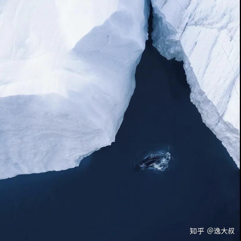 白日夢想家被世界遺忘的格陵蘭