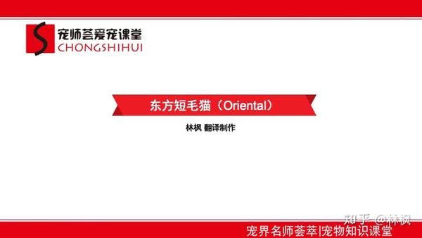 CFA东短官方标准 - 知乎