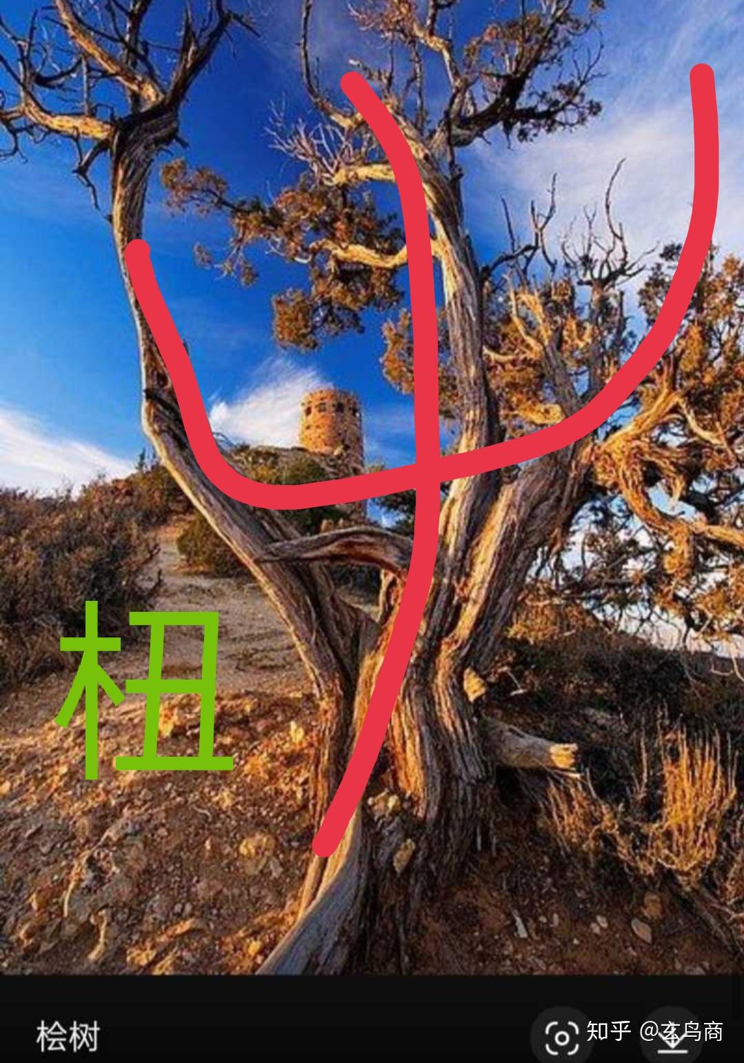 山海经之杻橿 - 知乎