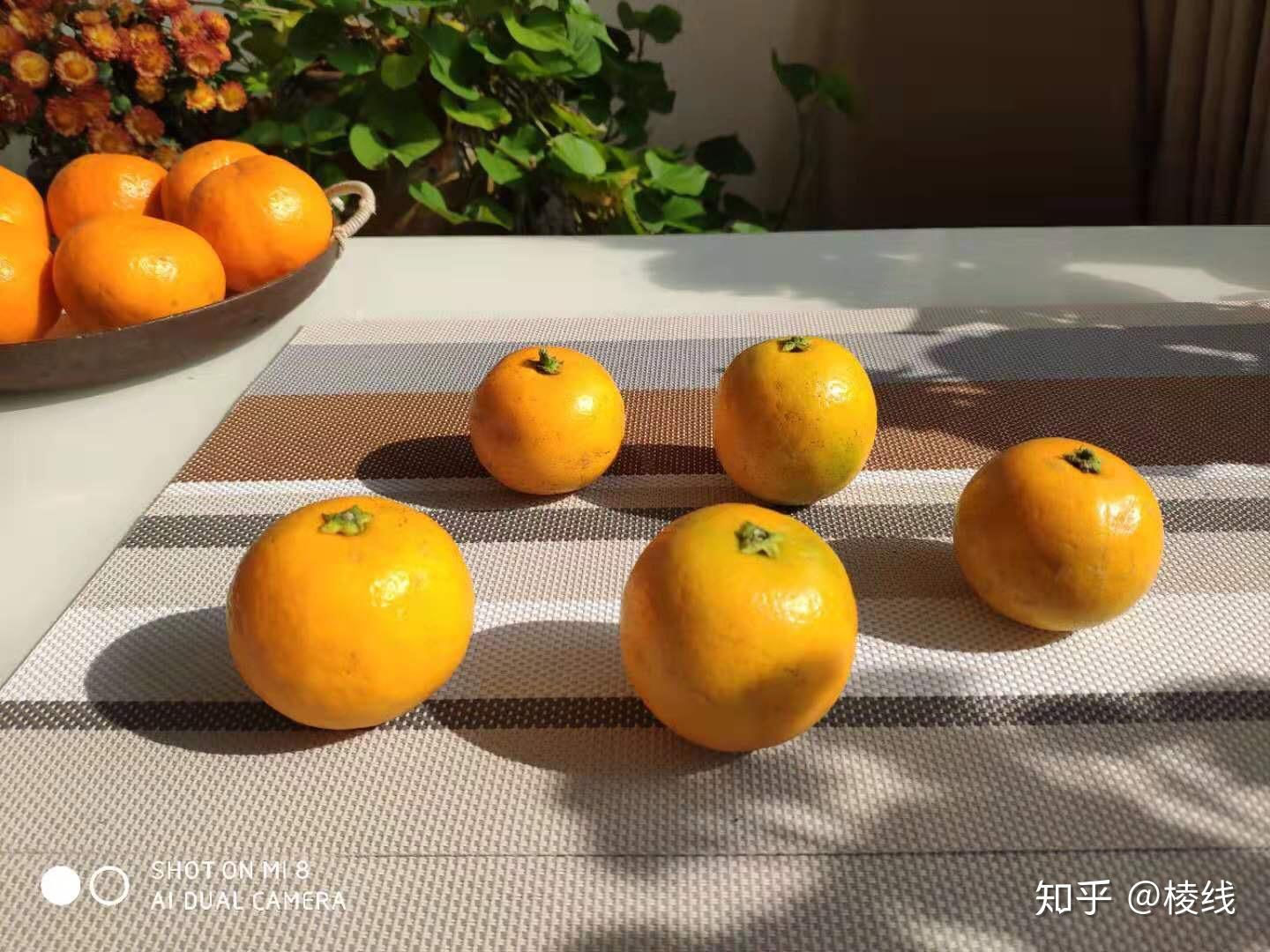 吃什么水果补Vc最好?