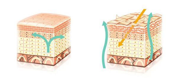 收藏敏感肌修护皮肤屏障全攻略