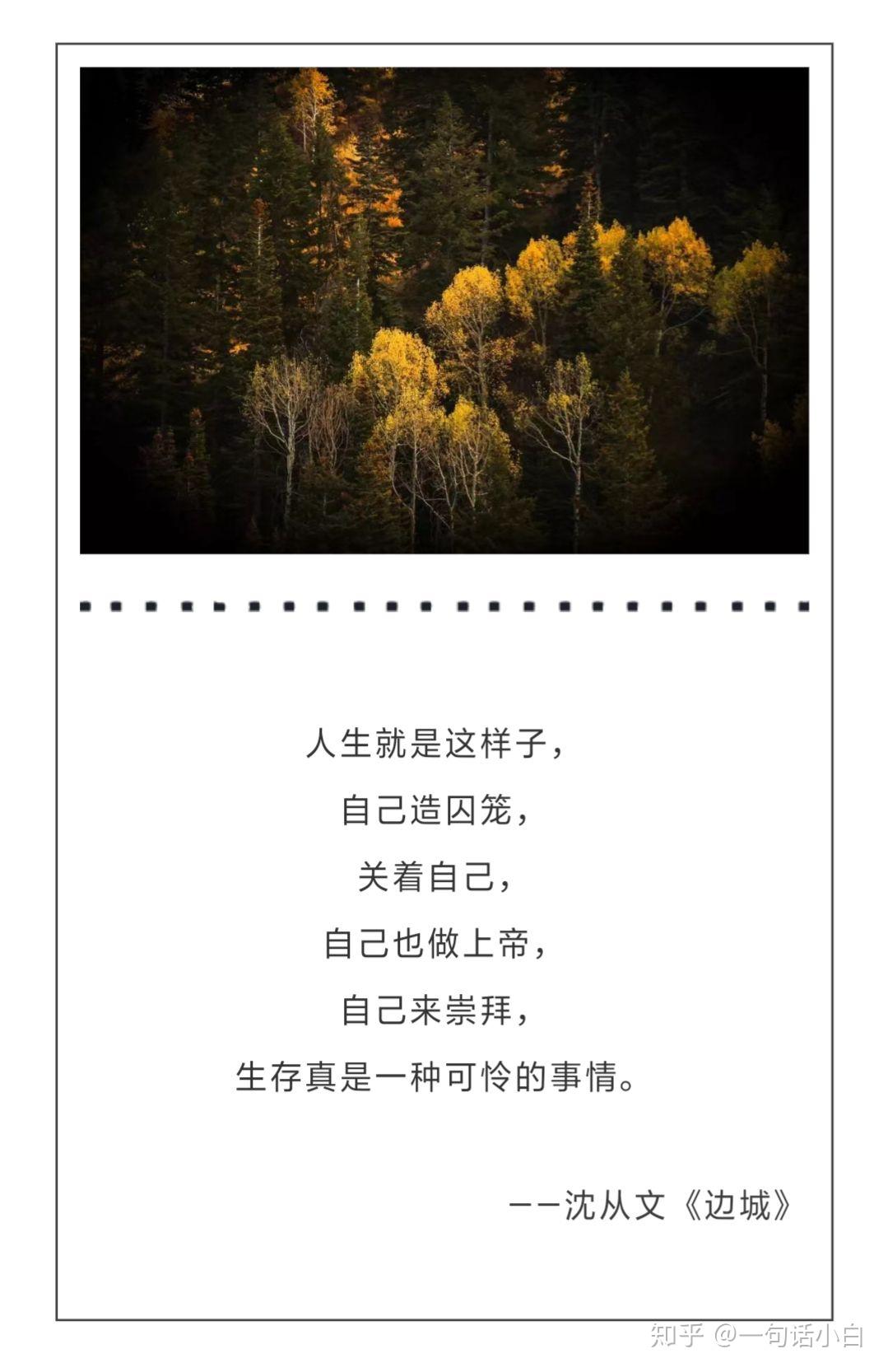 v2-536c4a33dca116fa1270967310a5435a_r.jpg