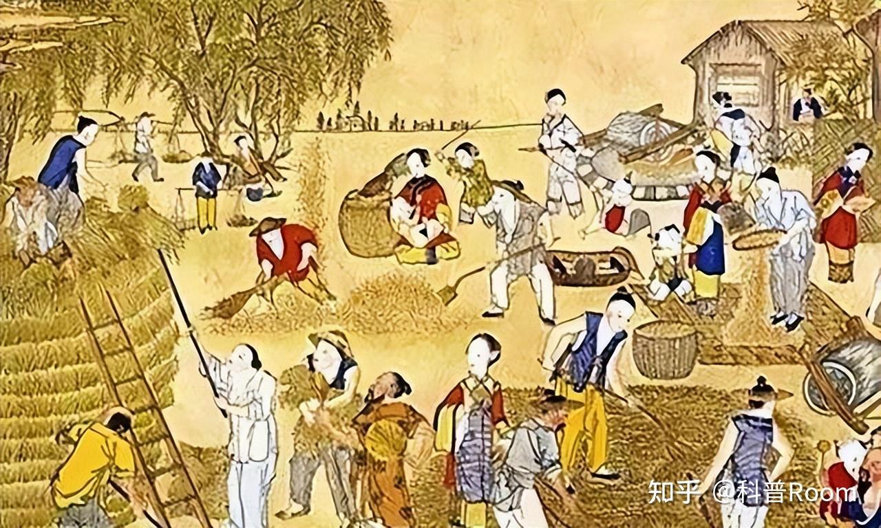 实施"摊丁入亩,官差一体,减轻农民压力