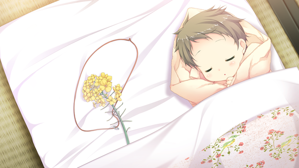 晴のちきっと菜の花びより 通关感想 知乎