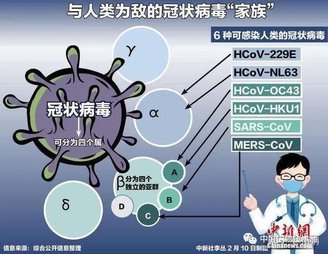 新冠病毒变化过程图片