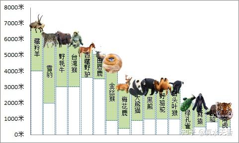 一图看懂中国珍稀动物海拔分布高度
