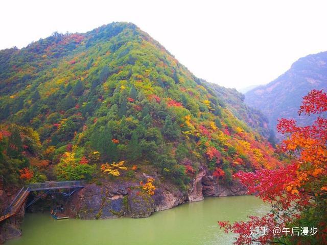 金秋時節寶雞鳳縣靈官峽漫山紅葉惹人醉