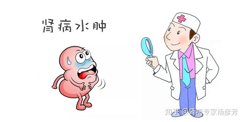 小心慢性肾脏病悄悄溜进你的生活