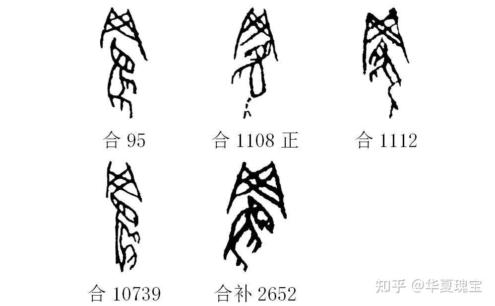 罴是熊的一种,也叫棕熊,马熊或人熊,古时称为罴.