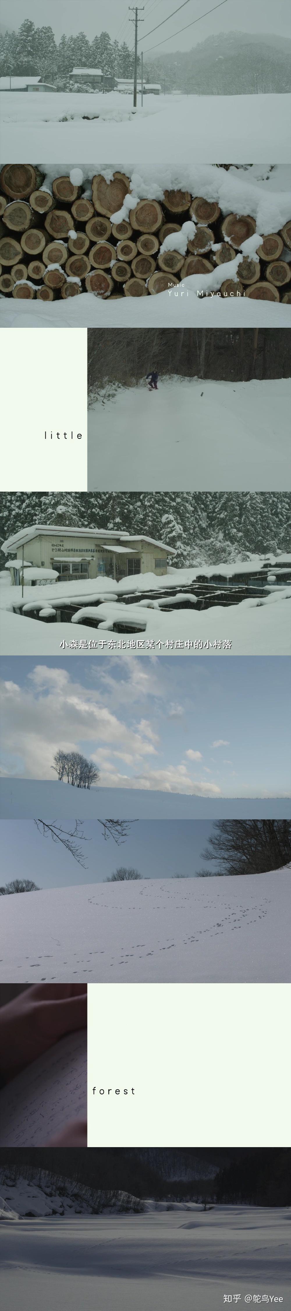 为什么对《小森林》的评价会那么高?