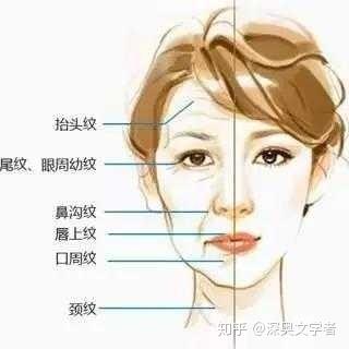 v2-53ec861a58160e42695a99f847e17bea_b.jpg