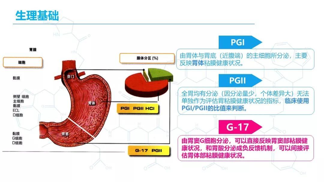 胃泌素偏低图片