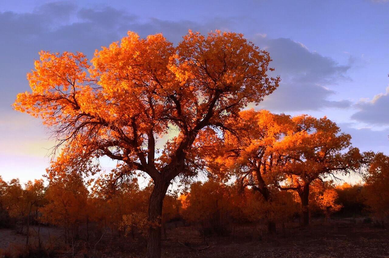 去内蒙旅游有哪些实用建议和攻略?