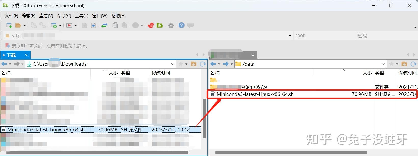  linux rapids 