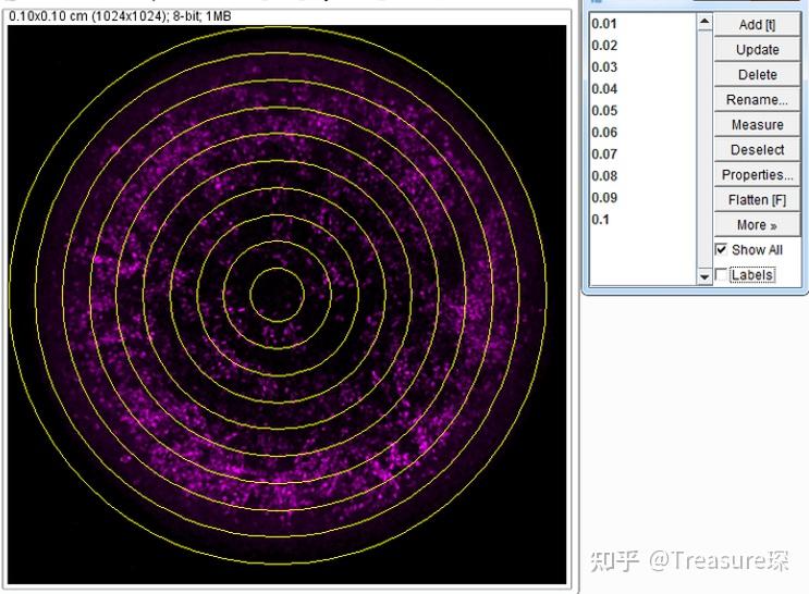 ImageJ开发教程——数组操作 知乎