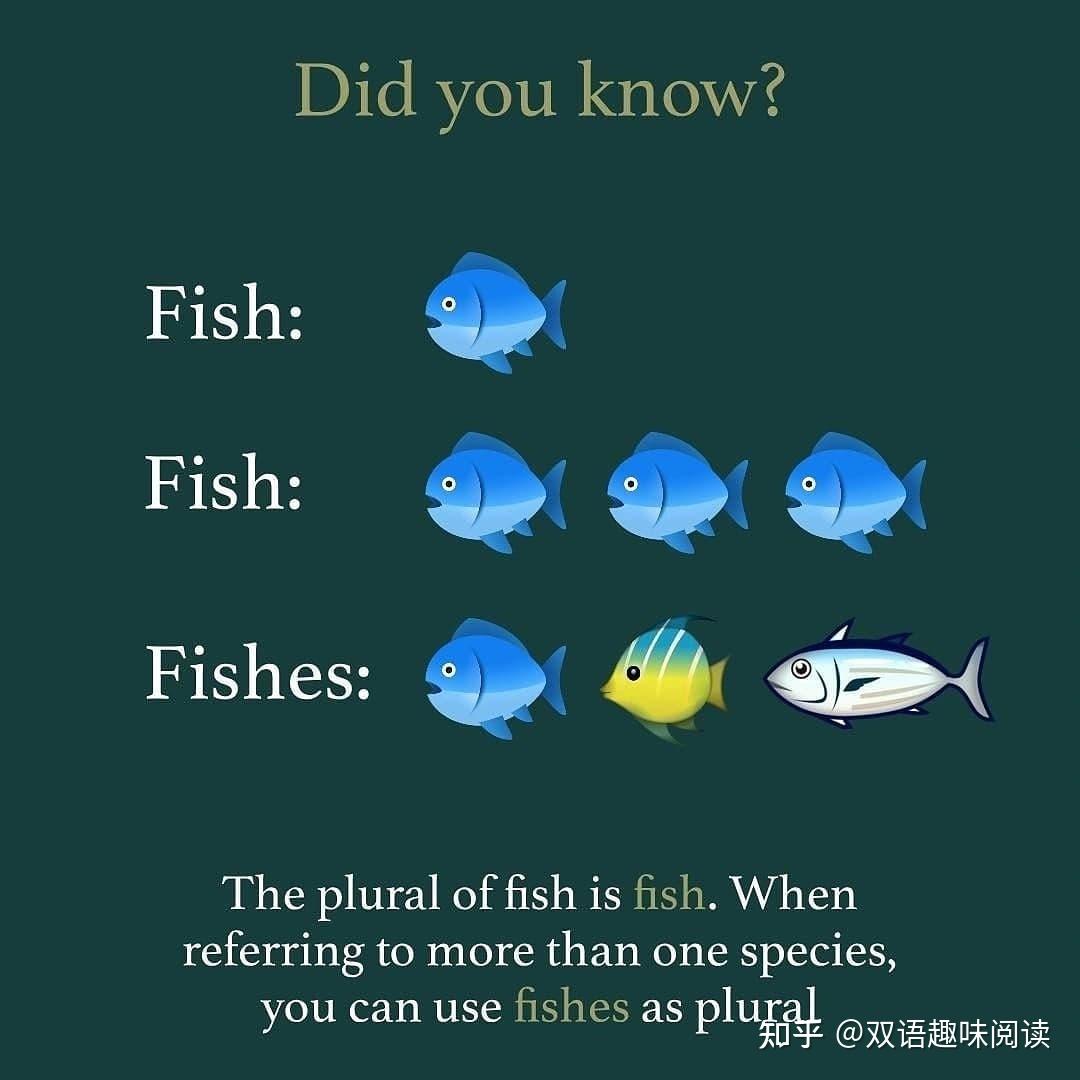 英文图解：fish or fishes？ - 知乎