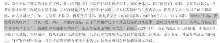 男子被流浪猫绊倒投喂者赔 24 万元案再审宣判，公司承担 80%，投喂者 20%，如何看待这一判决？