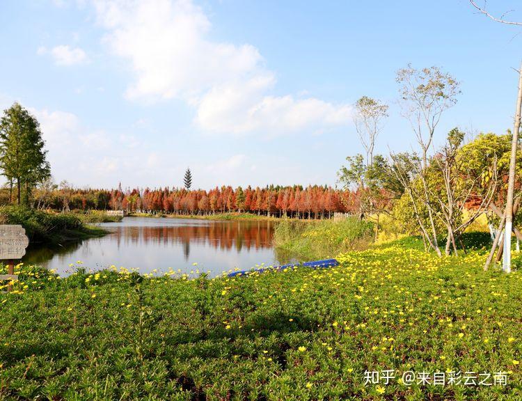 这就是海洪湿地公园的航拍图.它位于昆明的湖滨路上,滇池湖畔.