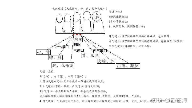 足底气道口