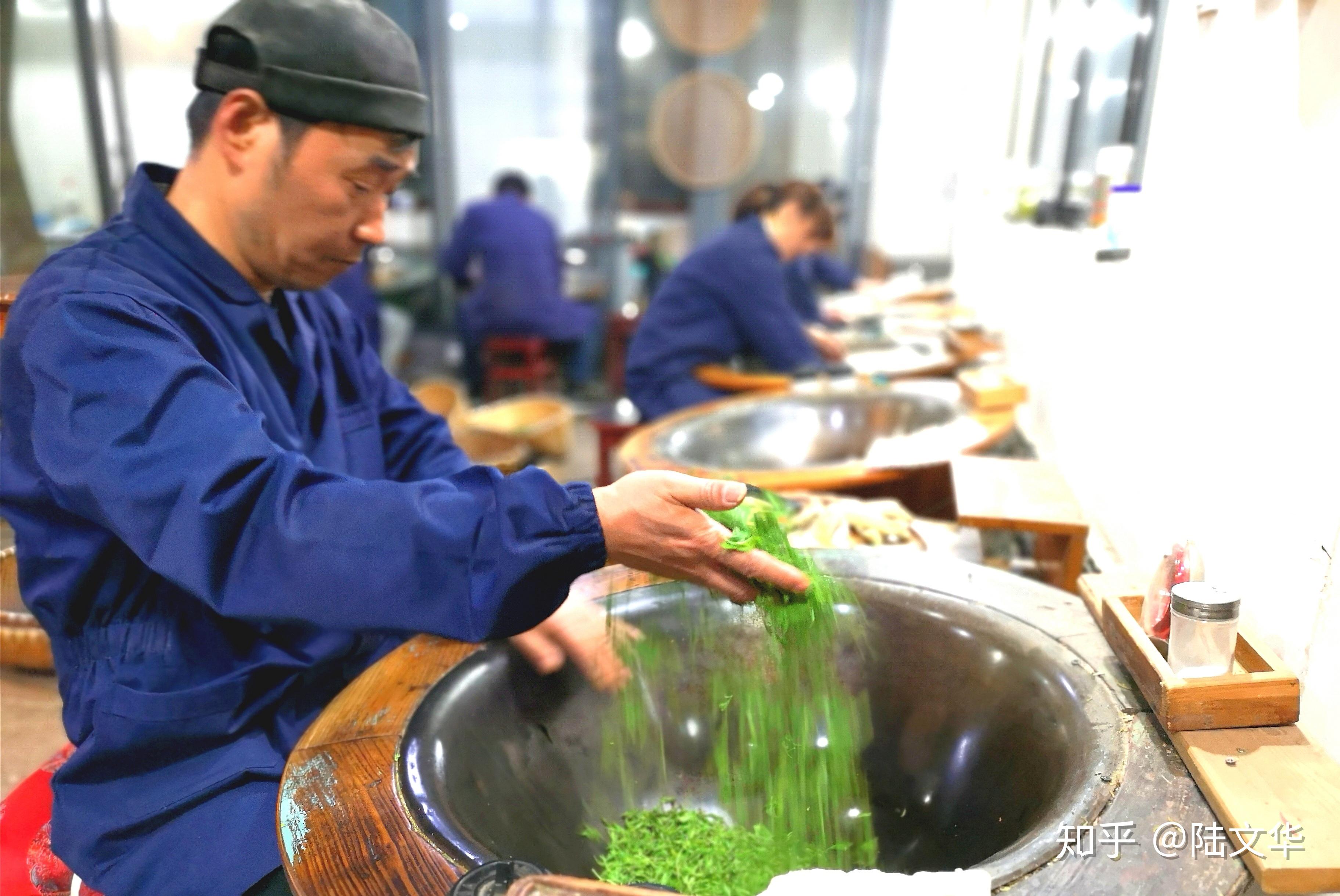 西湖龙井炒茶大师唐鹤君:虎跑泉试新茶,为什么无花香,不龙井,采自阳