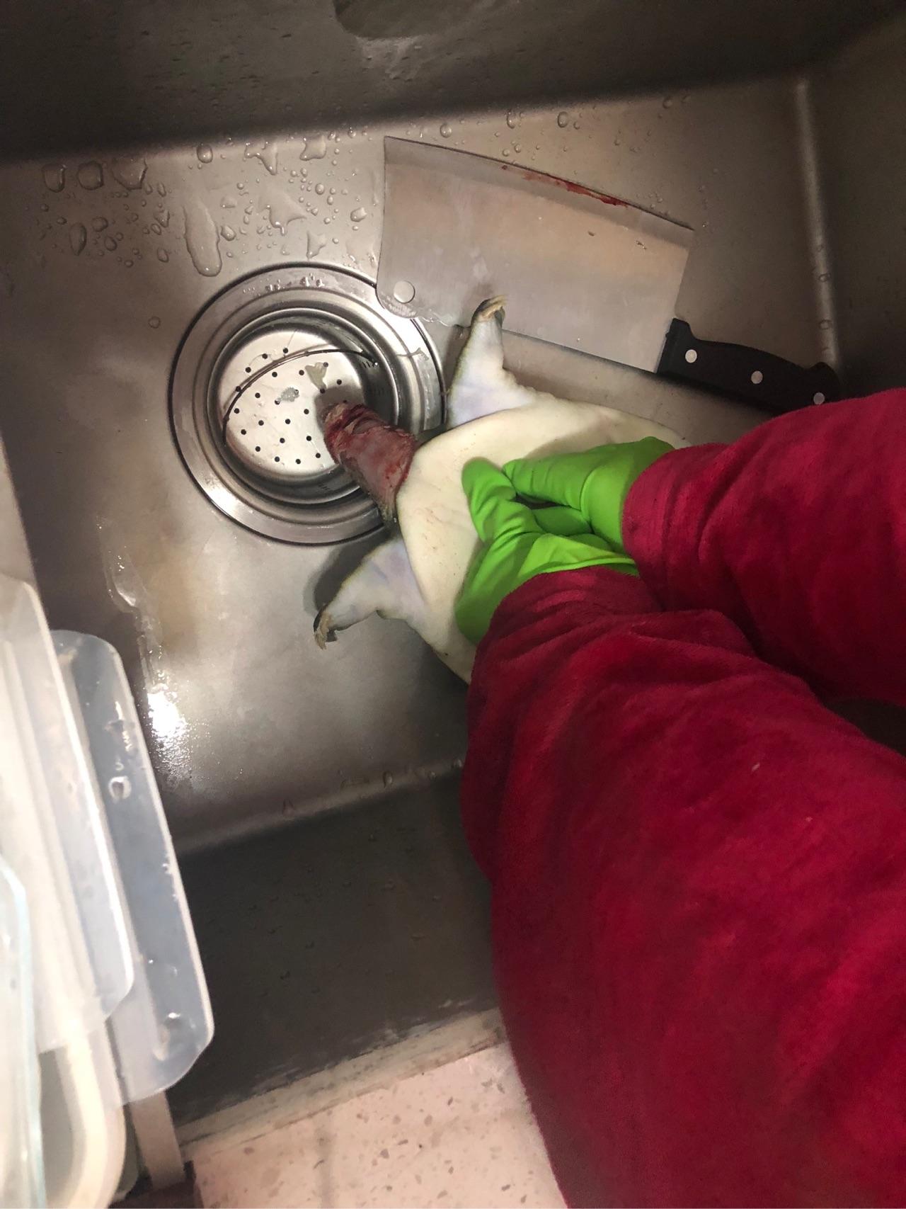 首次尝试做甲鱼,我这么可爱的女孩子怎么可以杀甲鱼?