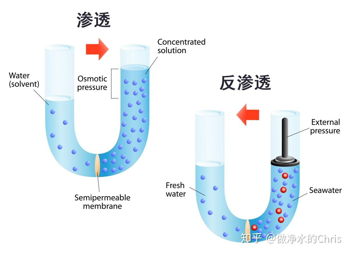 如何通过robots.txt控制搜索引擎抓取行为 (如何通过Rollup构建react组件库npm包)