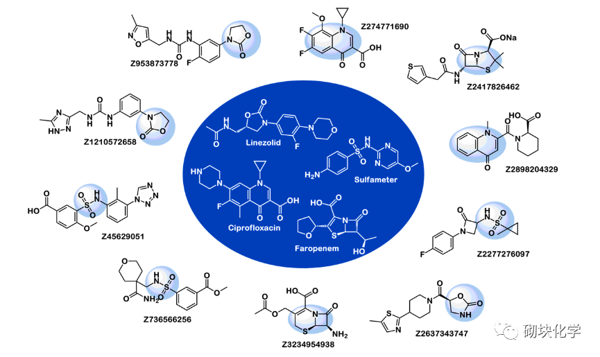 基于药物的设计——高质量分子库的重要性(18)Antibacterial Library - 知乎