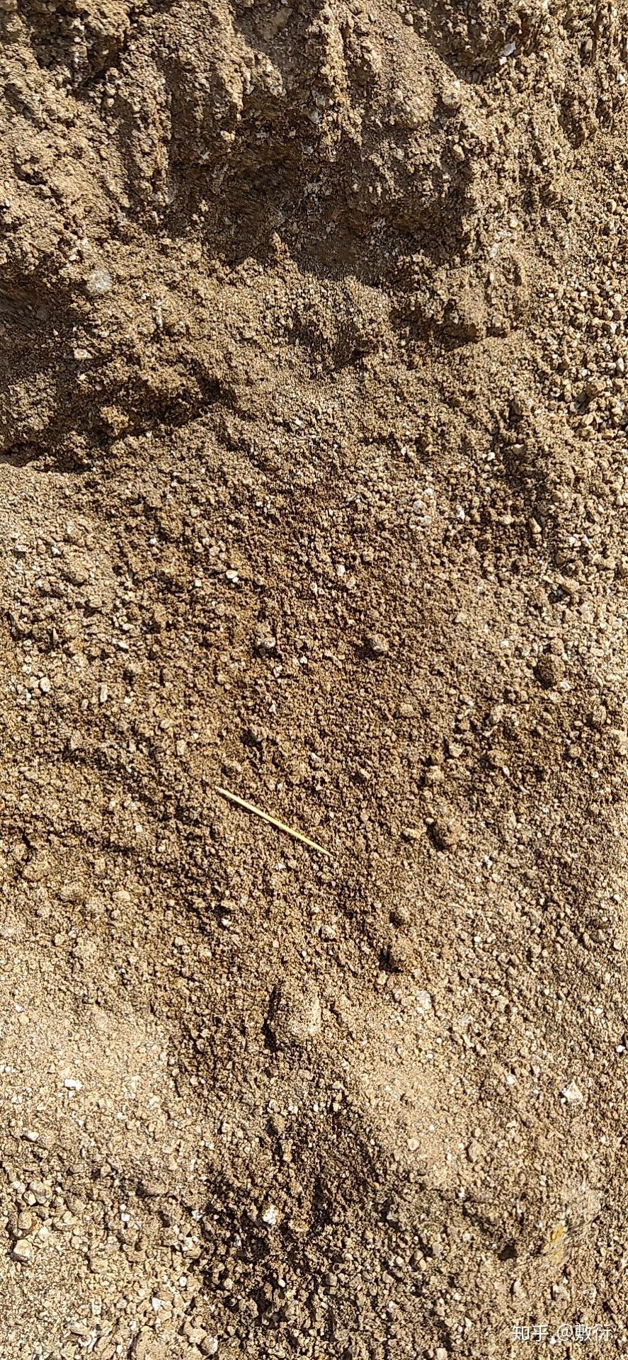 广西南宁山沙 - 知乎