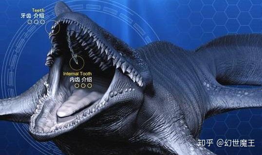 一只沧龙力战3只金厨鲨中生纪海洋霸主就此易位