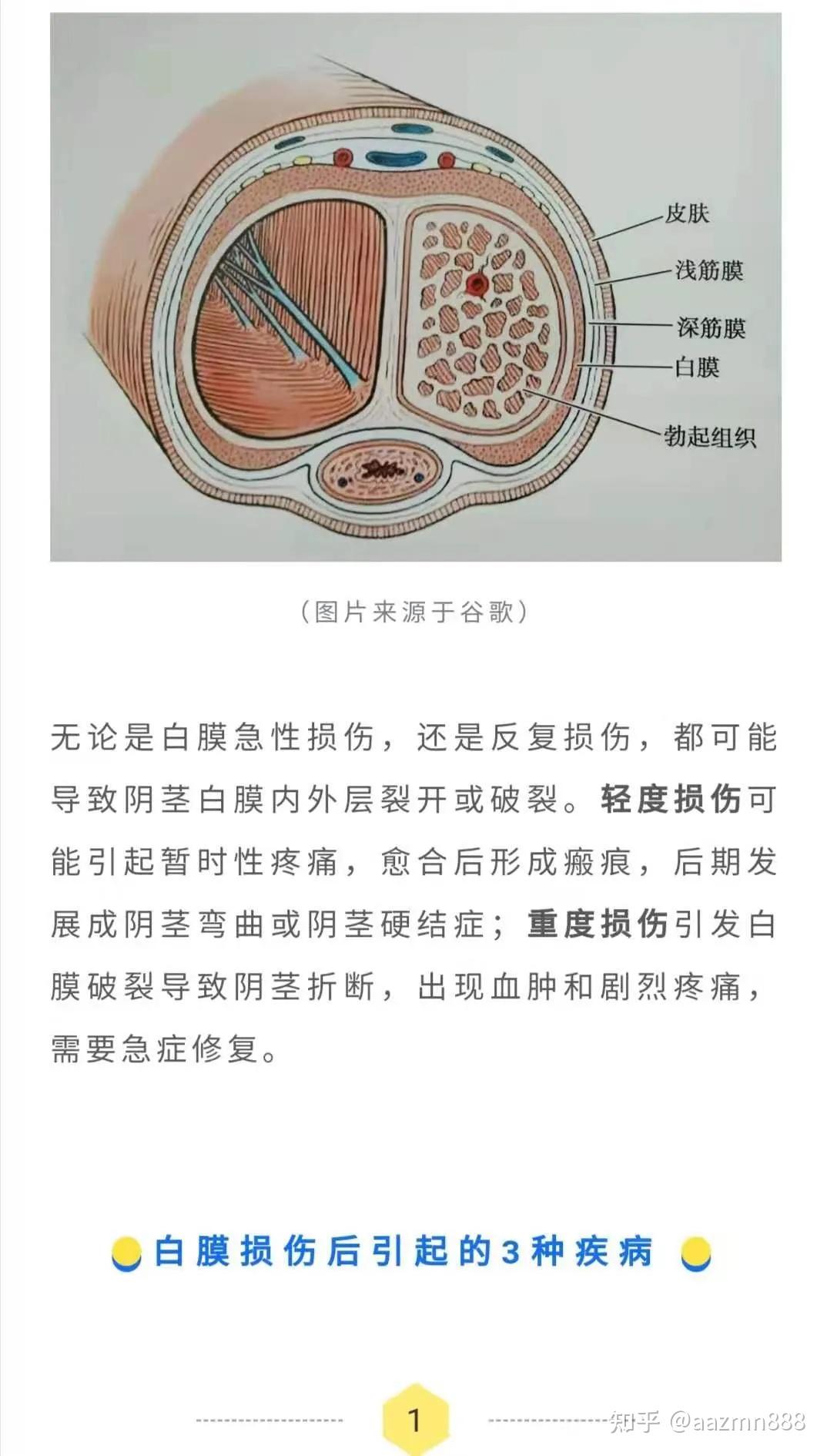 吸收性明胶海绵 B型-江西省祥恩医疗科技发展有限公司
