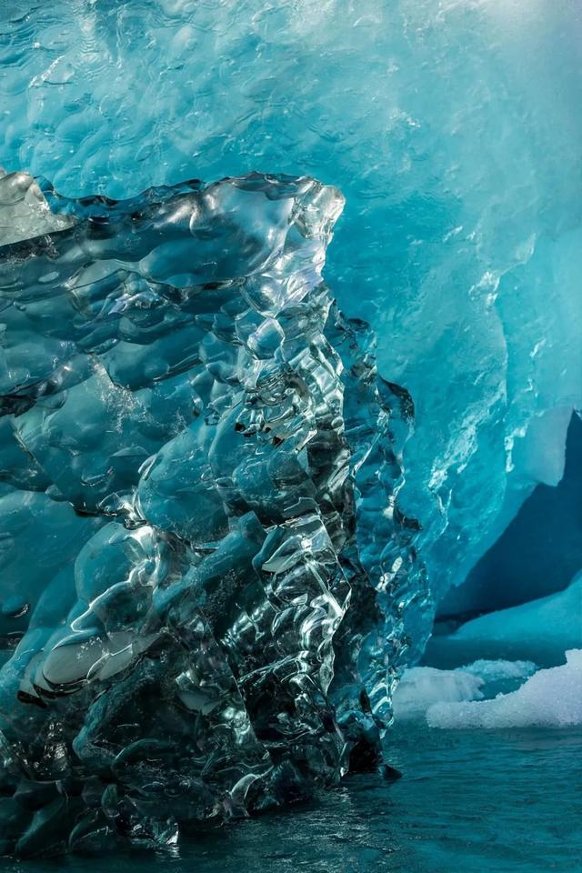 冰系花束养成记