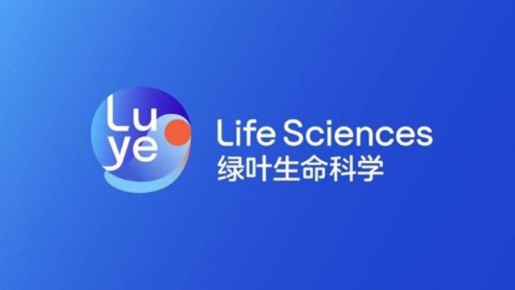 100audio產品案例為綠葉生命科學集團新春楹聯活動提供音樂版權