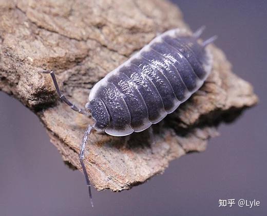 都2021年了还是没有动力去上班吗咧叔带你走进办公