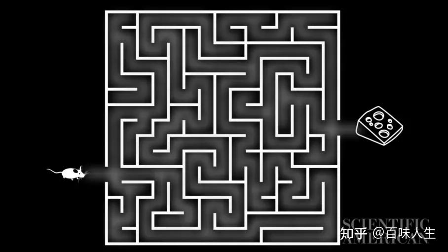 好比老鼠走迷宫,传统计算机需要一条一条路径尝试后才能找到正确路线