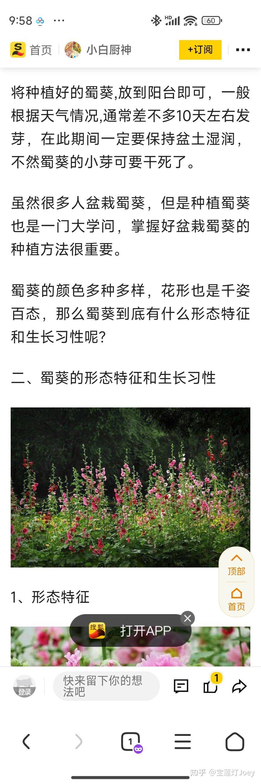 萼距花种子图片