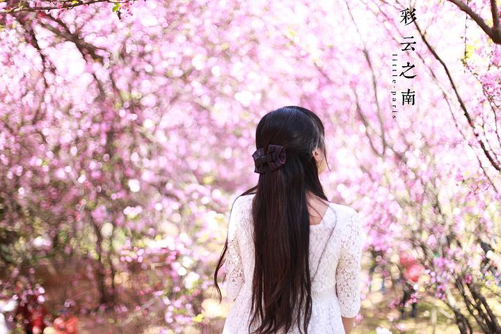 v2-549d12976afcc4cb14c328c4d71ba6fb_1440w.jpg?source=172ae18b