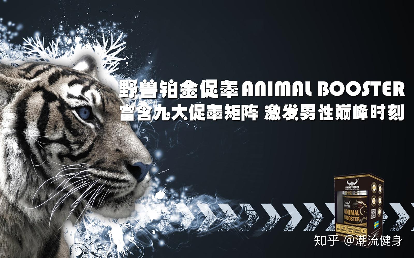 北欧海盗野兽铂金促睾促睾促睾促睾对健身的人来说到底有多重要