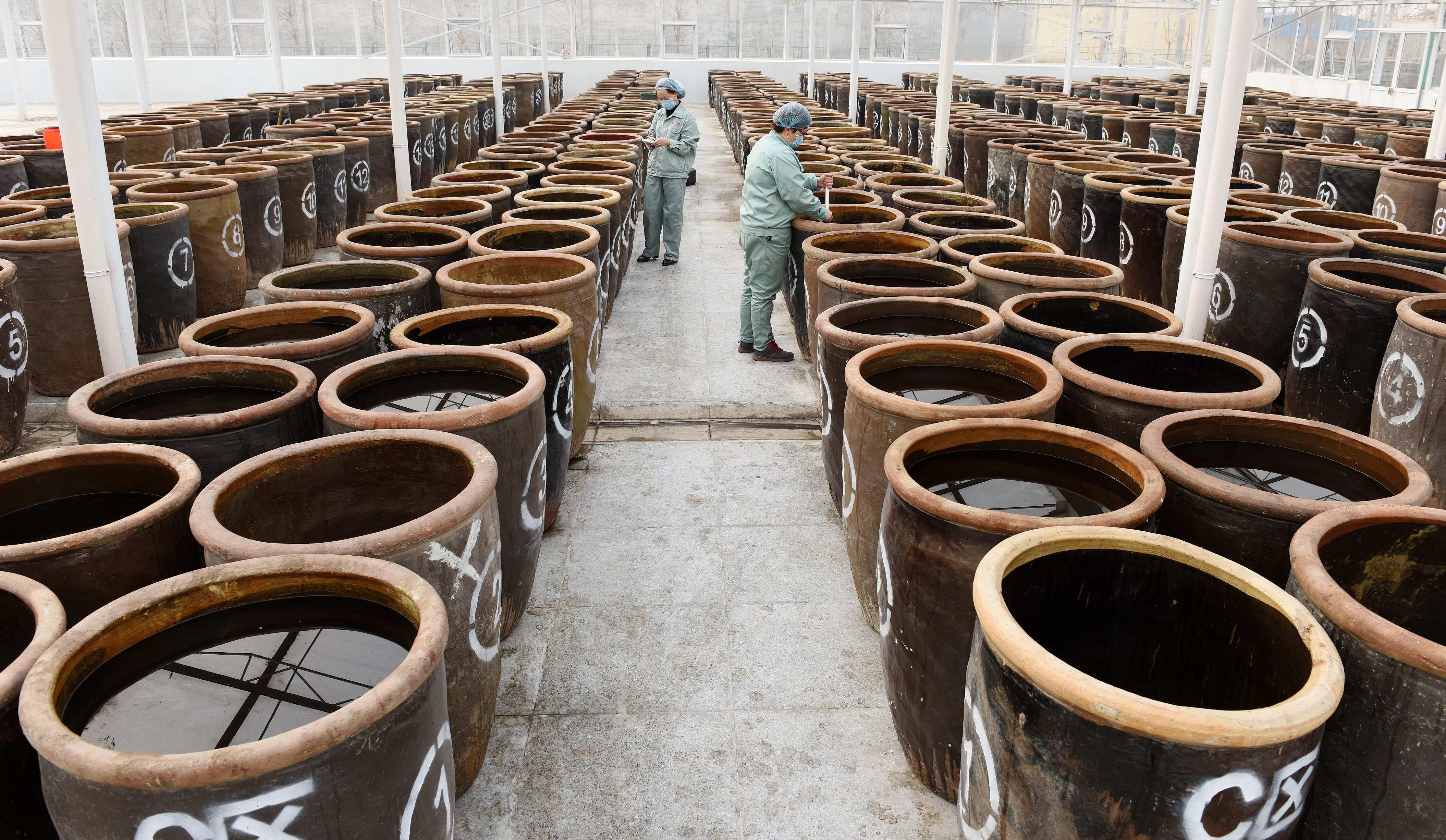 北京酿酒技术粮食发酵原理